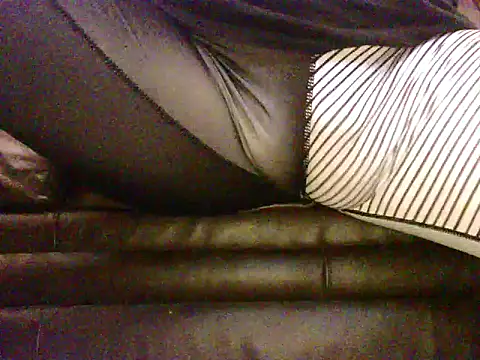 SDtinycok online show from March 2025 04:33:02 PM