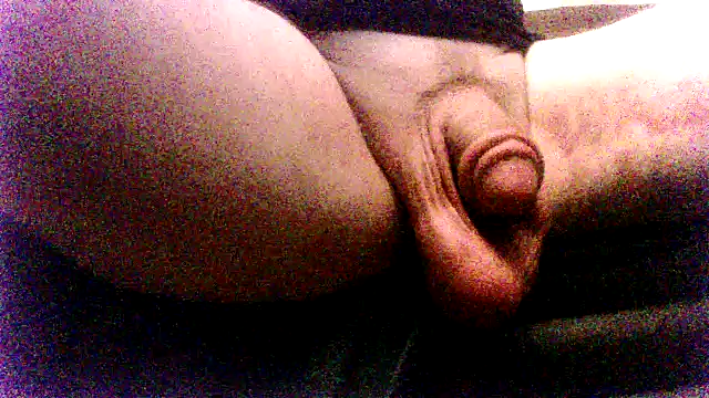 SDtinycok online show from September 2025 04:50:01 PM