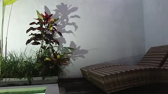 TammiLou online show from March 2025 10:52:01 AM