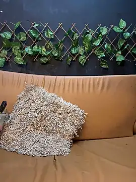 Snapshot of uma_patna000 chatting on January 2025 09:51:01 PM uma patna000 online show from January 2025 09:51:01 PM