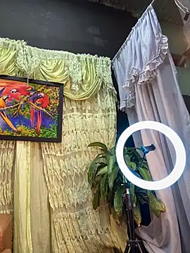 Snapshot of uma_patna000 chatting on February 2025 07:51:02 AM uma patna000 online show from February 2025 07:51:02 AM