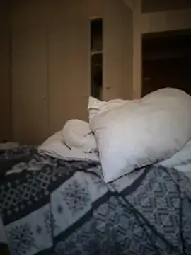 Snapshot of shehandme chatting on February 2026 08:24:07 AM shehandme online show from February 2026 08:24:07 AM