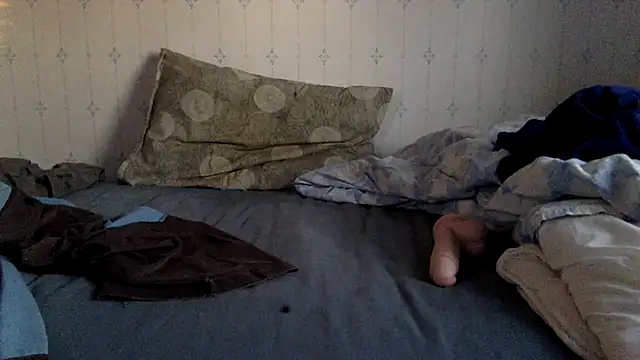 hamstergrabben online show from March 2025 04:54:02 PM