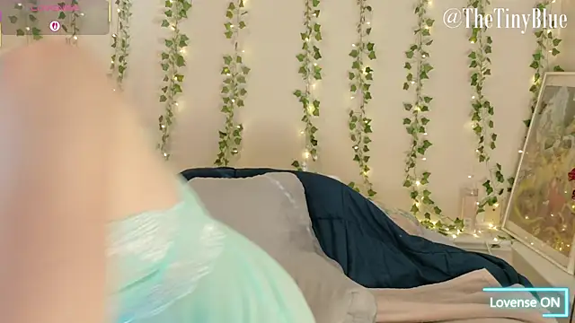 thetinyblue online show from February 2026 05:41:01 PM