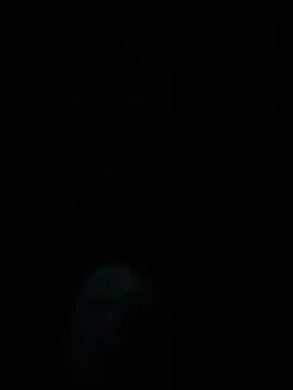 Snapshot of dropmoney chatting on December 2025 05:01:01 AM dropmoney online show from December 2025 05:01:01 AM