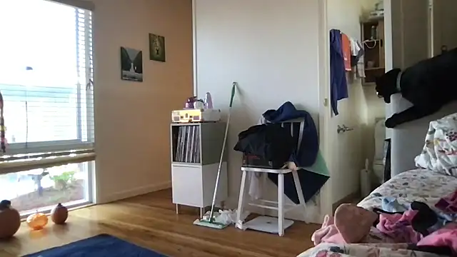 HYPHYtype online show from October 2025 10:01:01 PM