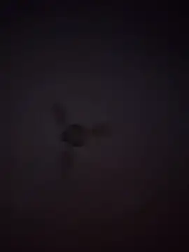 Snapshot of 1Aleks13 chatting on November 2025 10:54:02 PM 1Aleks13 online show from November 2025 10:54:02 PM