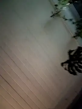 Snapshot of Nikkierosee chatting on December 2024 10:56:02 AM Nikkierosee online show from December 2024 10:56:02 AM