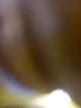 FinableKnee online show from January 2026 10:08:02 AM