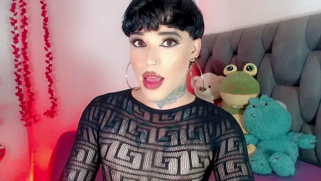 little star porn online show from March 2026 01:23:01 AM