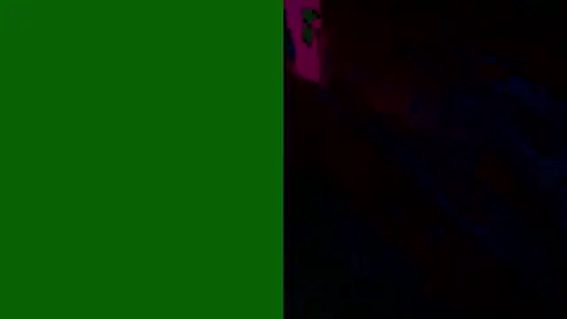 PUSSYundBAER online show from December 2025 01:57:02 AM