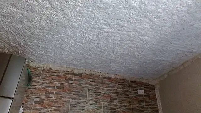 omar alurba online show from February 2026 06:25:02 PM