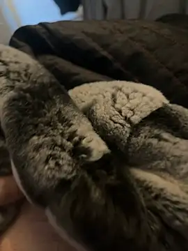 Snapshot of Furdale chatting on January 2025 12:35:02 PM Furdale online show from January 2025 12:35:02 PM