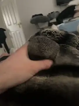 Snapshot of Furdale chatting on February 2025 10:21:01 AM Furdale online show from February 2025 10:21:01 AM