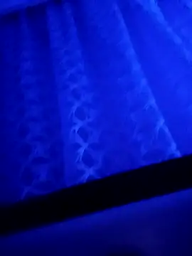 Snapshot of LeilaSaint chatting on September 2025 04:40:02 PM LeilaSaint online show from September 2025 04:40:02 PM