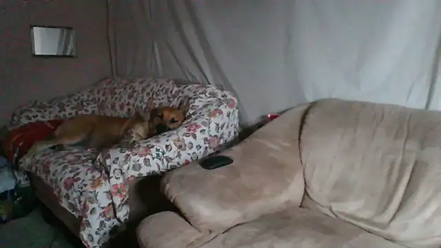 xykenrah48 online show from March 2026 01:20:01 AM