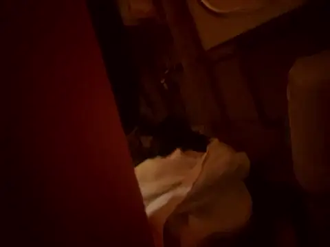 Dannadcz online show from March 2026 08:25:02 PM