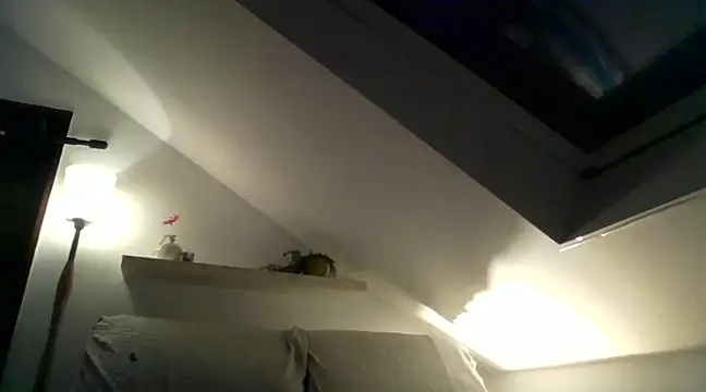 Cambitchboy online show from December 2024 06:14:02 AM