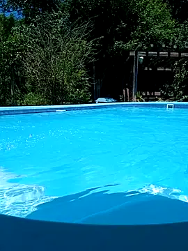 dutra498 online show from February 2026 04:23:01 PM