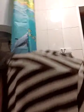 Snapshot of Zulfiya_Bruce chatting on November 2025 06:10:01 PM Zulfiya Bruce online show from November 2025 06:10:01 PM