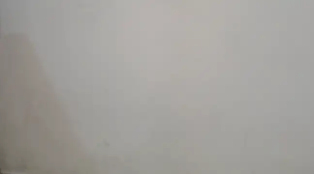 YummymeowW online show from March 2025 04:14:02 AM