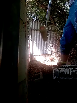 wilfukany1 online show from February 2025 11:30:01 PM