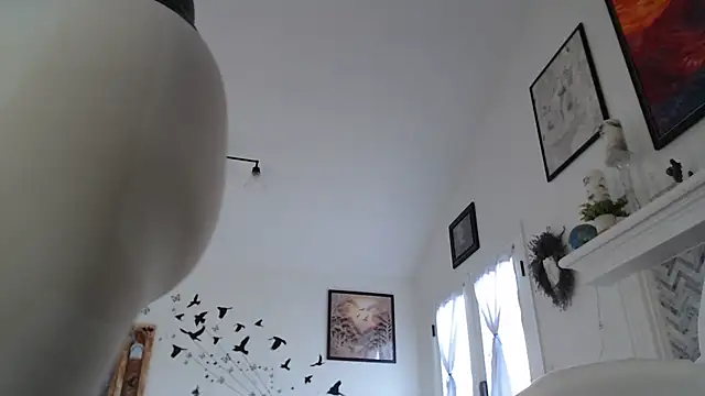 AuroraWillows online show from January 2026 03:16:01 PM