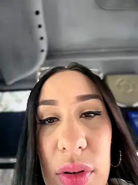 Snapshot of __IRIS__ chatting on November 2025 04:40:01 PM IRIS online show from November 2025 04:40:01 PM