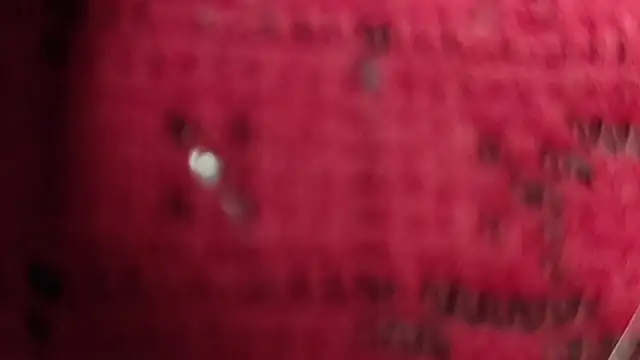 Snapshot of Your_Devika chatting on March 2026 06:40:02 AM Your Devika online show from March 2026 06:40:02 AM