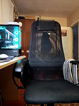 Snapshot of sergeysas chatting on October 2025 11:20:02 AM sergeysas online show from October 2025 11:20:02 AM