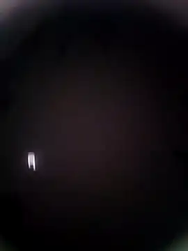 Pitercom online show from September 2025 07:49:02 PM