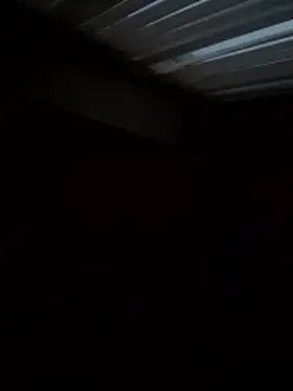 Flossy Vettie online show from November 2025 02:39:01 PM