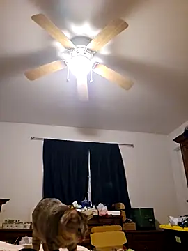 Snapshot of ScarletCallings420 chatting on February 2025 03:27:01 PM ScarletCallings420 online show from February 2025 03:27:01 PM