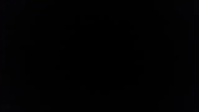 palidin1 online show from December 2025 07:43:01 PM