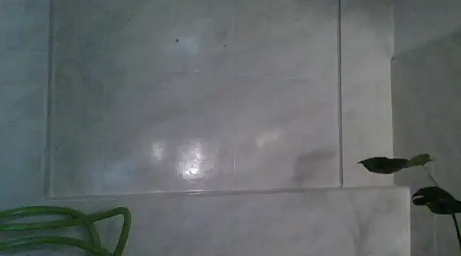 samay cole online show from February 2025 04:32:02 AM