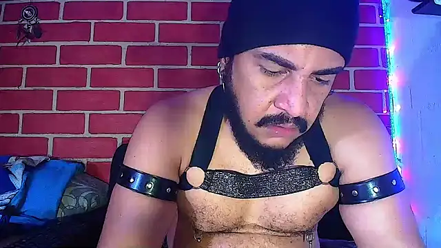 the master foal  online show from January 2025 04:18:01 PM