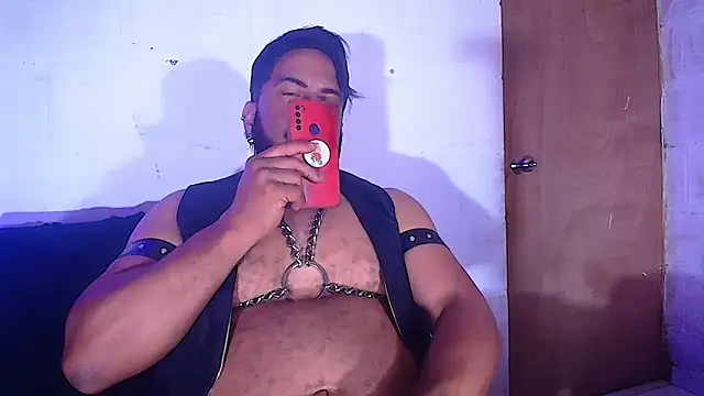 the master foal  online show from February 2025 08:31:01 AM