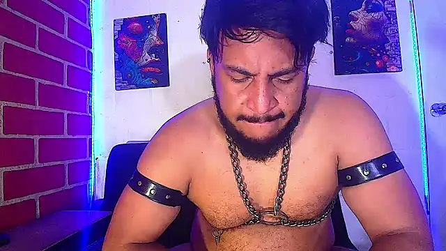 the master foal  online show from February 2025 01:30:01 PM