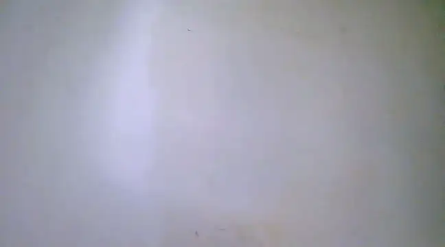 Snapshot of h0ney_lips chatting on February 2025 12:30:01 AM h0ney lips online show from February 2025 12:30:01 AM