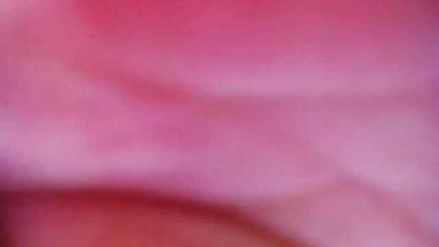 JessikaDaniel online show from April 2026 06:36:01 AM