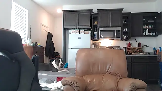 Snapshot of rockpoint69 chatting on January 2025 10:08:02 PM rockpoint69 online show from January 2025 10:08:02 PM