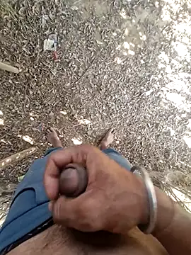 breejs online show from November 2025 08:25:02 AM