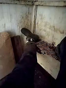 Snapshot of VASKOS178 chatting on December 2024 11:29:01 AM VASKOS178 online show from December 2024 11:29:01 AM