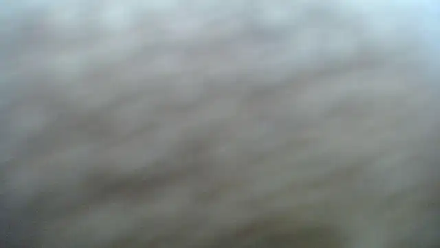 Snapshot of DAPHNE_doll chatting on November 2025 03:35:01 PM DAPHNE doll online show from November 2025 03:35:01 PM