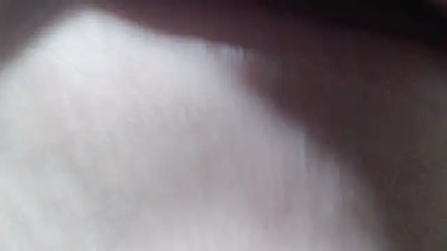 selenax2023 online show from October 2025 01:47:02 AM