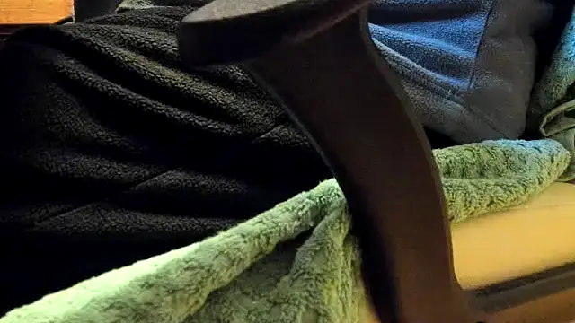 leccaleccafiga online show from February 2026 10:21:02 AM