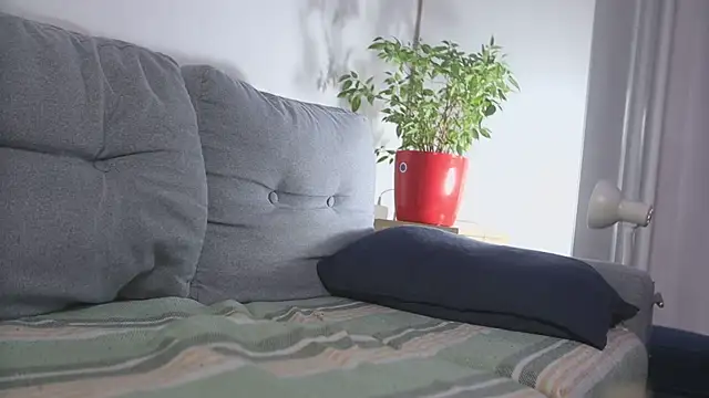 kevin-park online show from April 2026 07:07:02 PM