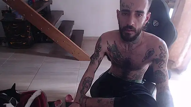 harry reems1 online show from January 2025 05:19:01 PM