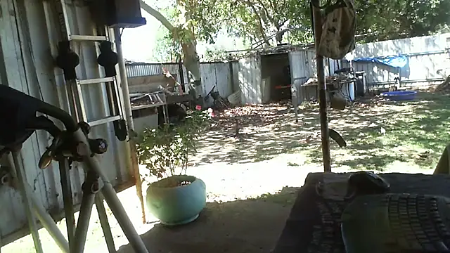 Snapshot of herbie010666 chatting on November 2025 04:24:02 AM herbie010666 online show from November 2025 04:24:02 AM