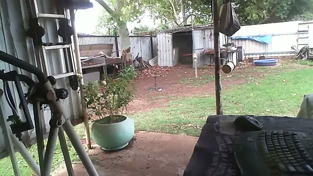 Snapshot of herbie010666 chatting on November 2025 04:25:02 AM herbie010666 online show from November 2025 04:25:02 AM